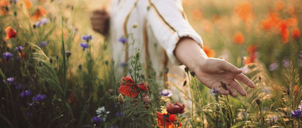 Close-up of a woman's hands gliding through wildflowers