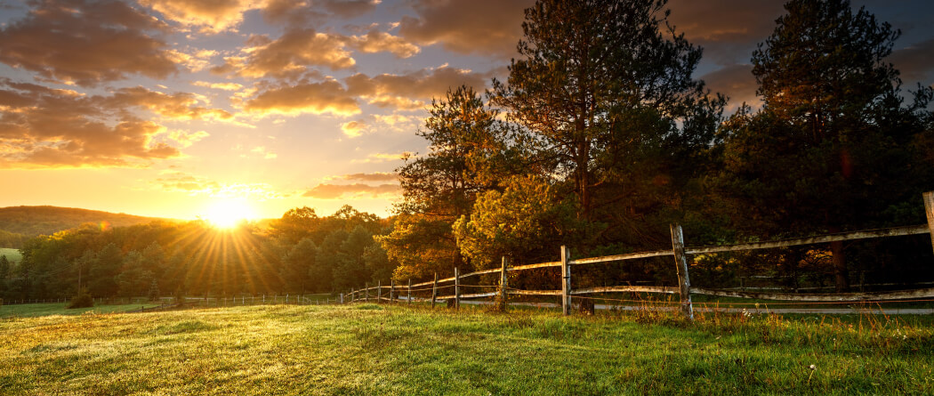 A landscape shot of a sunset and wooden fence 